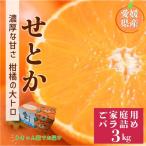 せとか 3kg