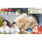 お米 令和8年産 とちぎの星 玄米 2kg×2袋