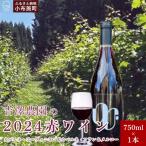 吉澤農園の2024赤ワイン カベルネ ソービニヨン&カベルネ