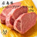 広島牛 シャトーブリアン 450g