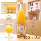 みかん 紅まどんなジュース 6本セット ジュース