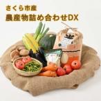 産の農産物詰め合わせDX