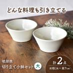 砥部焼 鉢セット 大×2個 鉢 BJAF002