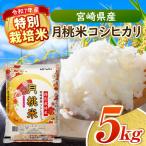 特別栽培米 産月桃米コシヒカリ お米 米 白米