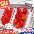 訳あり 粒不揃い とちおとめ 320g
