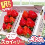 fu.... налог есть перевод шарик не комплект Sky Berry 320g (160g×2P) [2027 год предшествующий предварительный заказ ] клубника .| Tochigi префектура стрела доска город .. клубника сельское хозяйство . Tochigi префектура стрела доска город 