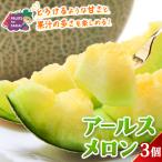 赤肉アールスメロン 3玉