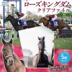 クリアファイル 写真5枚入り BRTV255