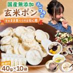 無添加 玄米ポン おやつ シリアル 40g×10袋