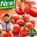 完熟ミニトマト 1.5kg