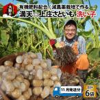 上庄産さといもの洗い子 計2.01kg