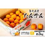 屋久島産たんかん 自家用 訳あり品 約3kg