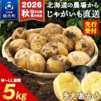 じゃがいも きたあかり5kg 栗じゃが ホクホク