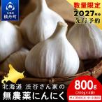 2027年分予約開始 渋谷さん家の無農薬