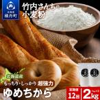 12ヵ月定期便 竹内さんちの小麦粉 強力粉
