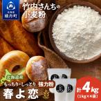 竹内さんちの小麦粉 4kg