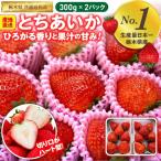 いちご とちあいか 300g×2パック