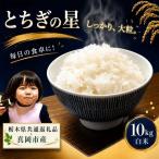お米 令和8年産 とちぎの星 白米 10kg