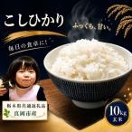お米 白米 農家のこだわり ブレンド米 10kg