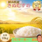 玄米 きぬむすめ 10kg