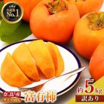 訳あり 富有柿 約5kg