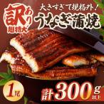 うなぎ 訳あり 1尾