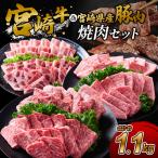 焼肉食べ比べ 1.1kg