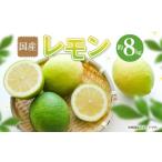 レモン 約 8kg