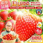 いちご ほしうらら 約600g