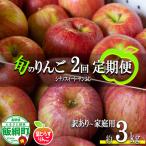 旬のりんご 訳あり 3kg