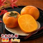 たねなし柿 2.5kg