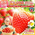 いちご ほしうらら 約1.8kg