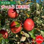 りんご 用サンふじ5kg
