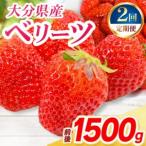 恋みのり 6パック