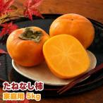 たねなし柿 5kg
