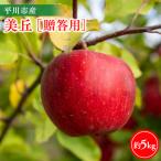 りんご 美丘5kg