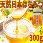 洋はちみつ 蜂蜜 300g
