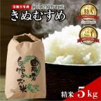 令和8年産 きぬむすめ 精米5kg 5kg×1袋
