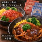 こらんしょバーグセット F4D-2252