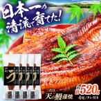 土佐料理司 三代目天の鰻蒲焼4尾セット