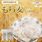 もち麦 1.5kg