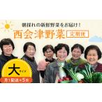 西会津野菜セット定期便 大 5回 F4D-1401