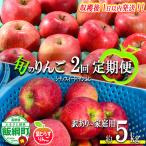 旬のりんご 訳あり 5kg