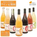 デイリーワイン 750ml×1本