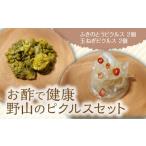 野山のピクルスセット ふきのとうピクルス