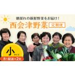 西会津野菜セット定期便 大 2回 F4D-1400