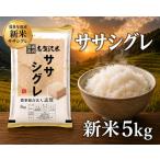 新米 ササニシキ 精米 5kg