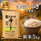 新米 令和8年産 金のいぶき 5kg