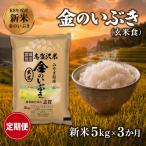 新米 定期便 3ヶ月 令和8年産 金のいぶき 5kg