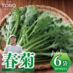 ふるさと納税 【先行予約】TONOファーム 春菊 6袋（合計900g以上） 大阪府泉佐野市